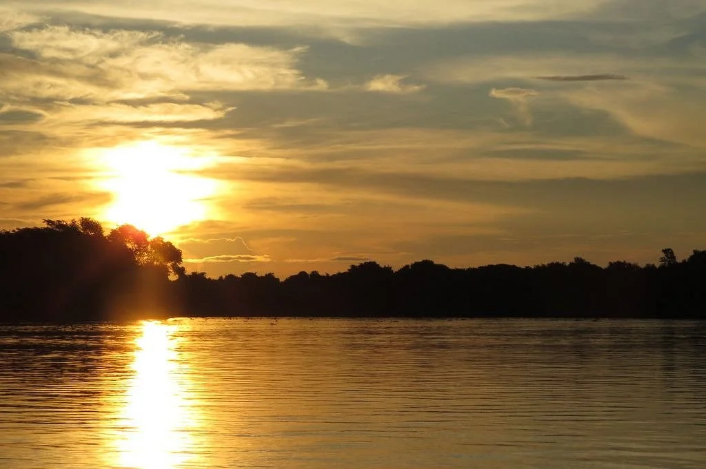 Wildlife Pantanal Tours