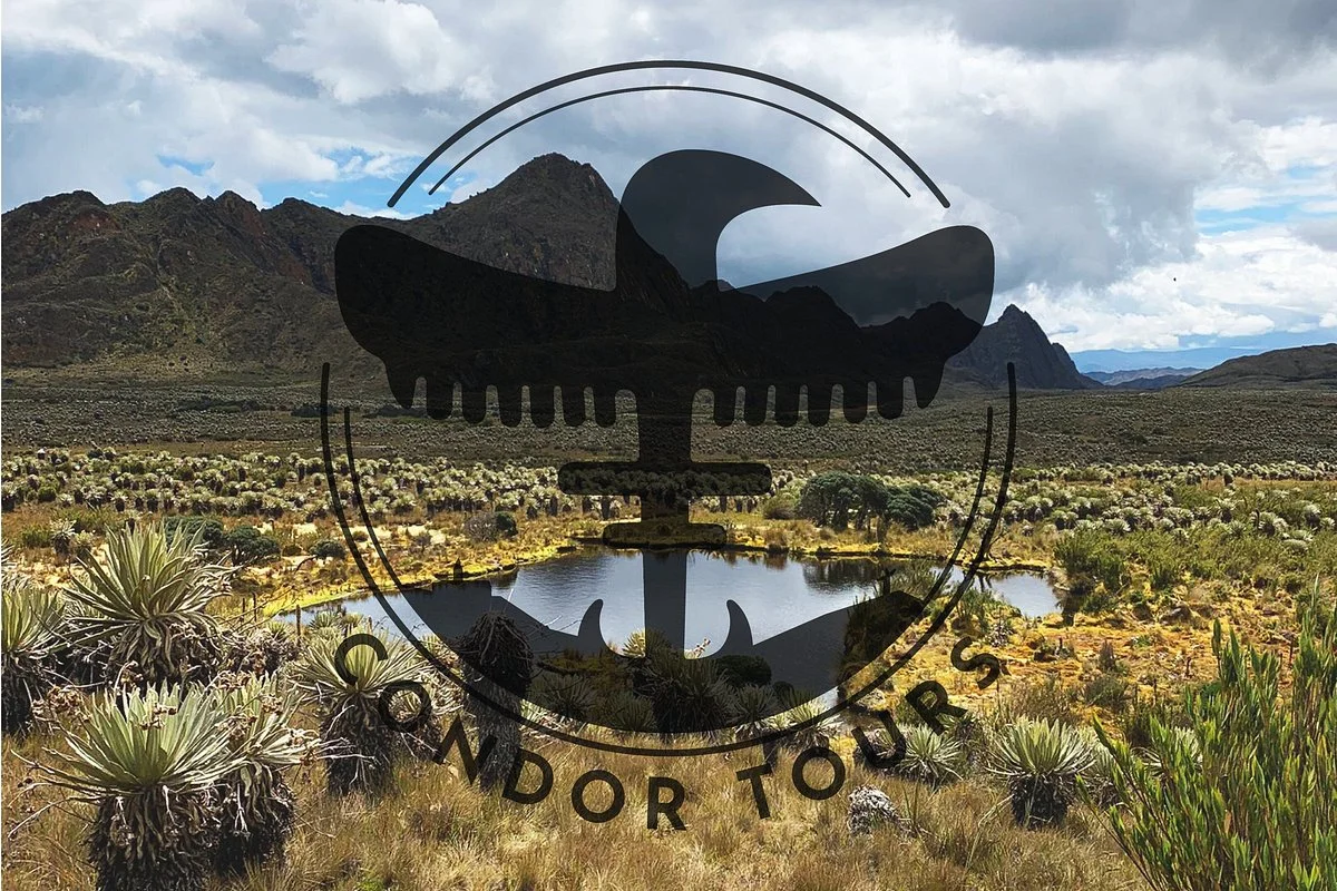 Condor tours