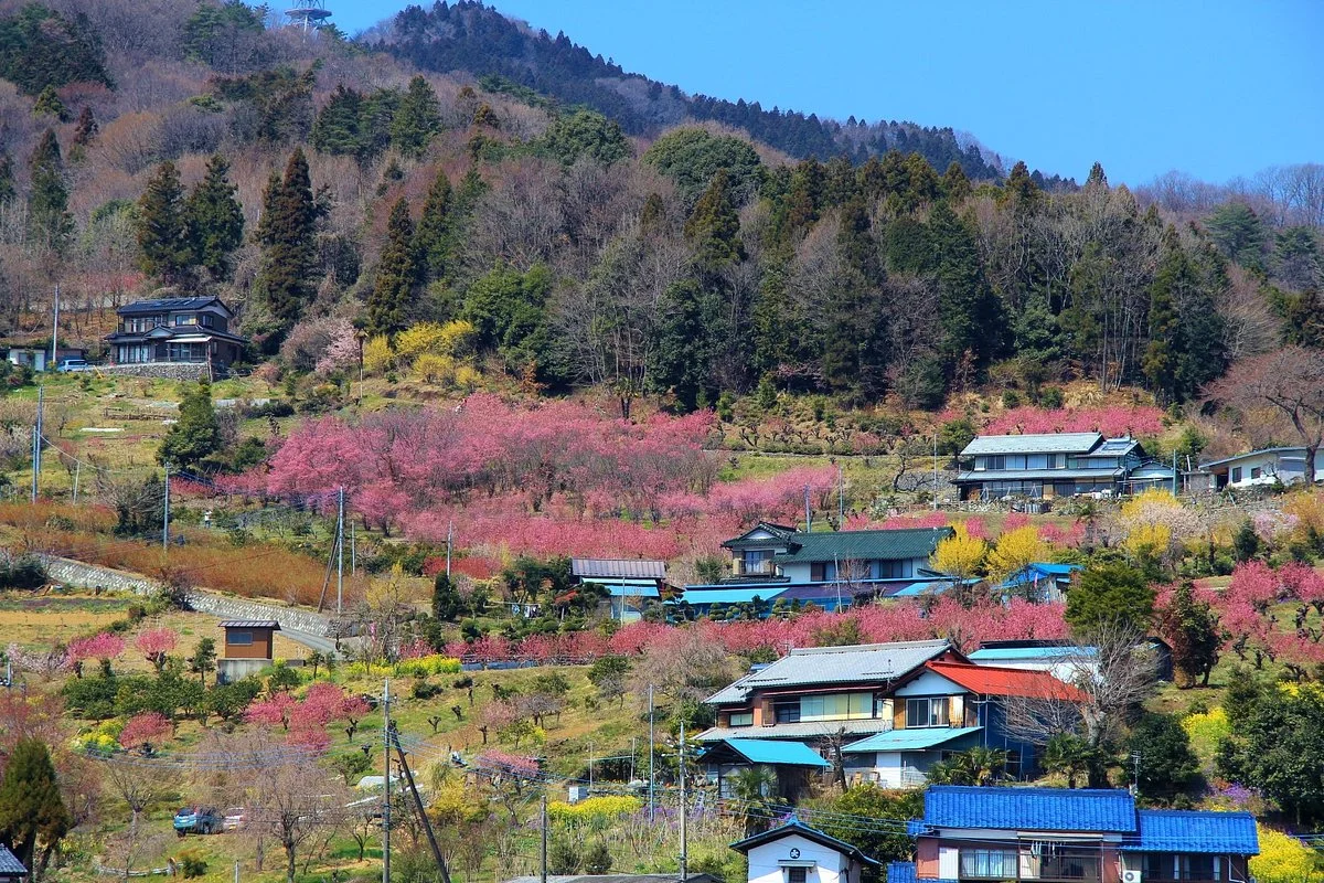 Ouchizawa Hanamomonosato