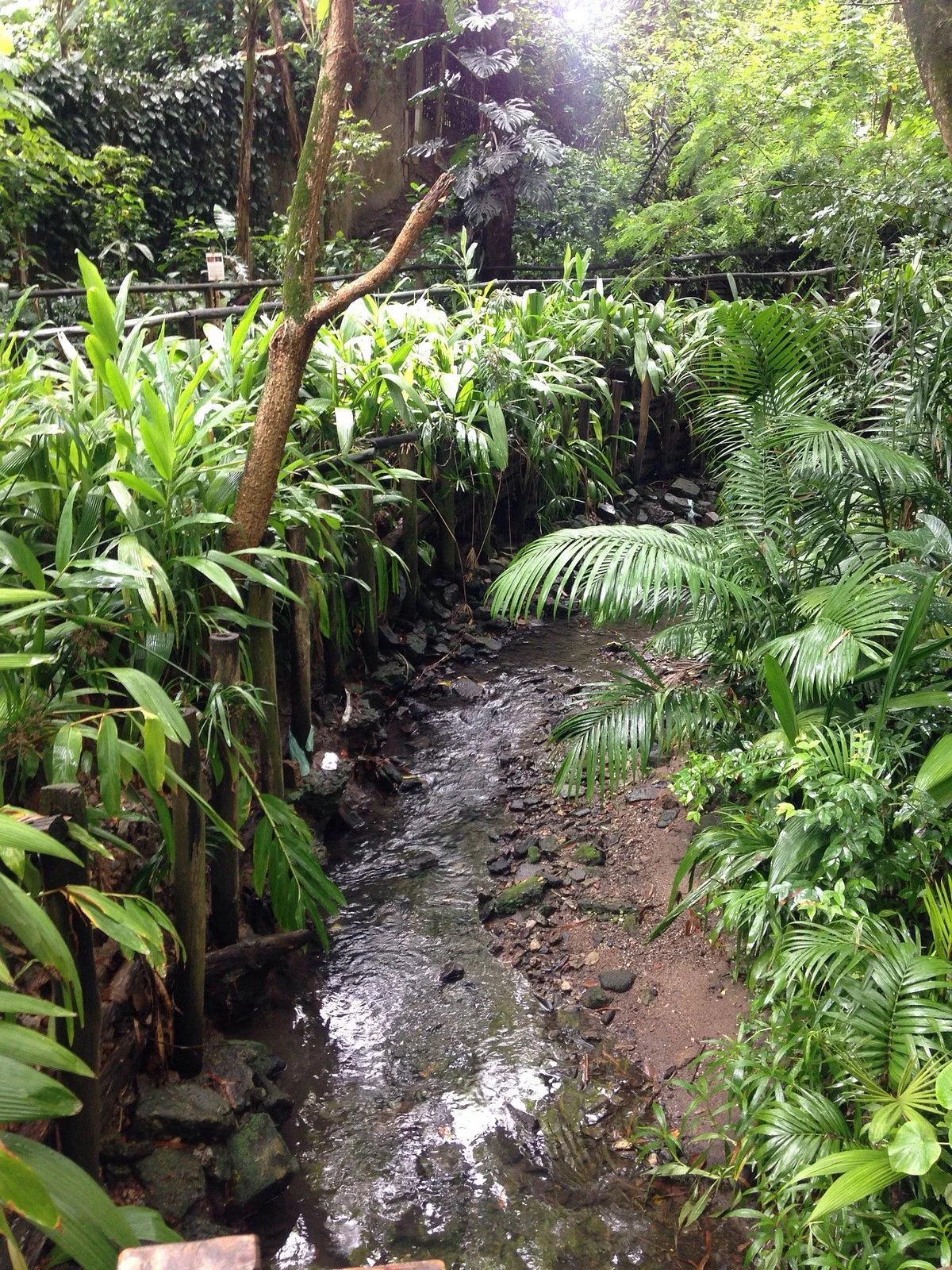 Parque Severo Gomes