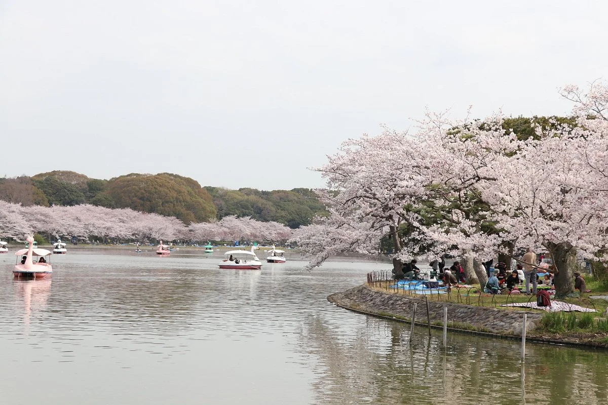 Akashi Park