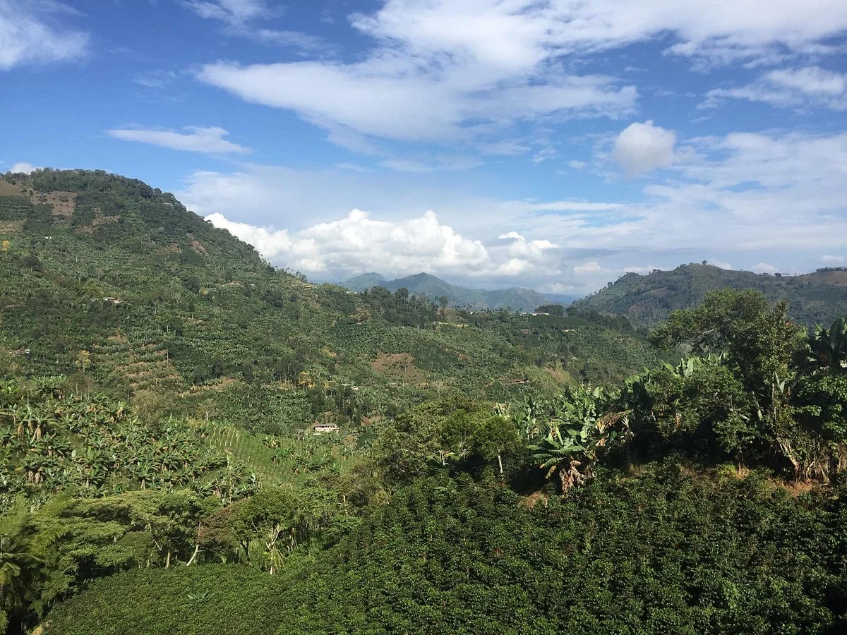 Finca Milena