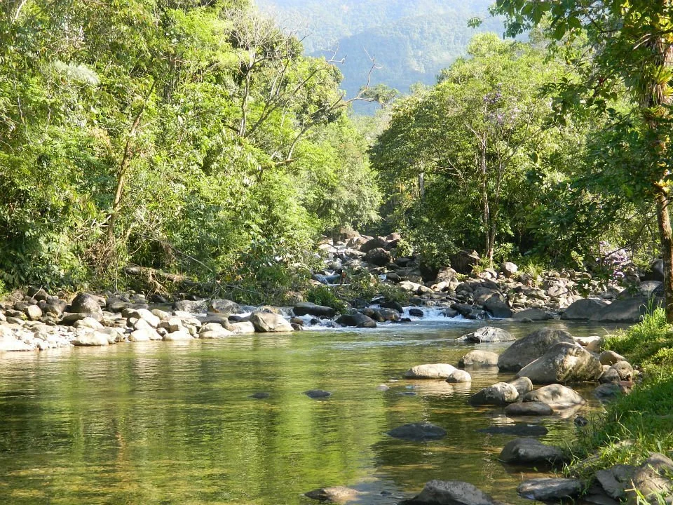 Estacao Ecologica de Jureia-Itatins