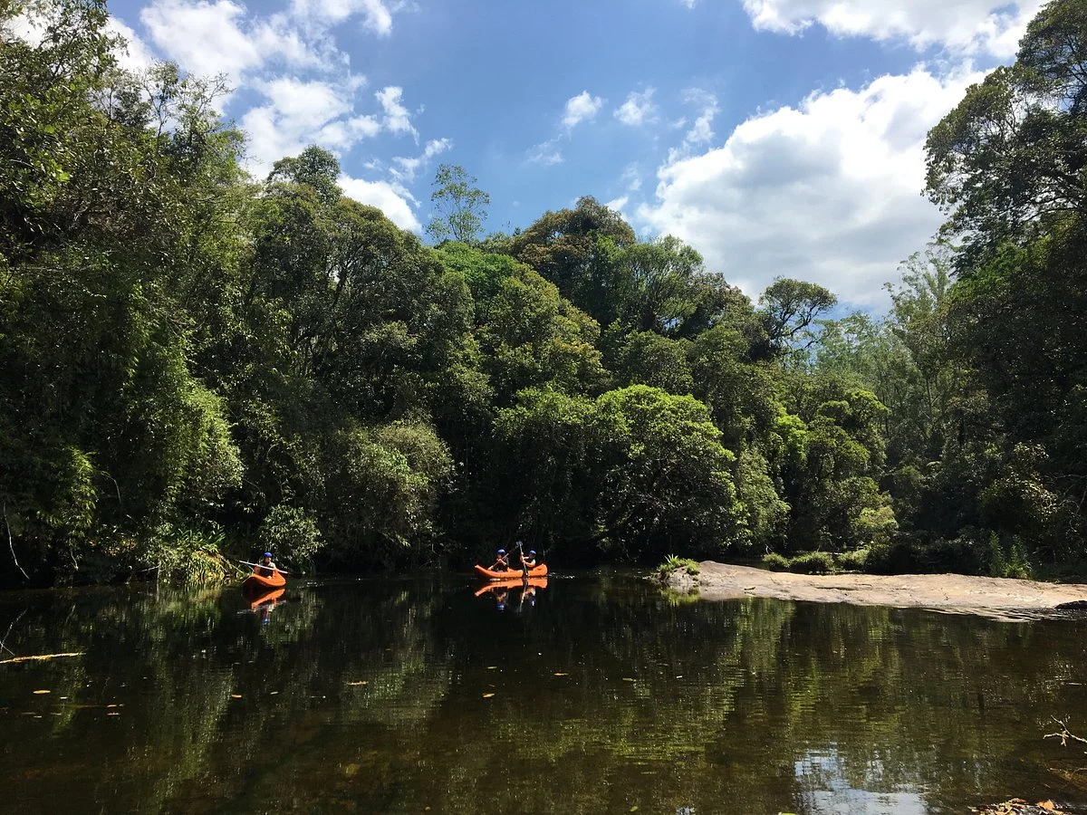 Parque das Neblinas