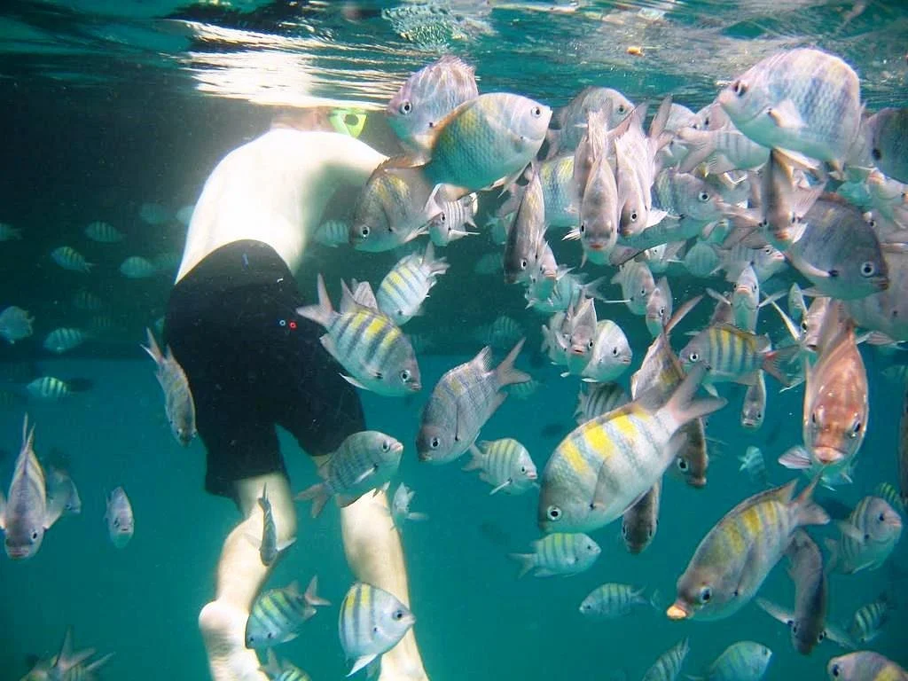 Ilha Grande Tours