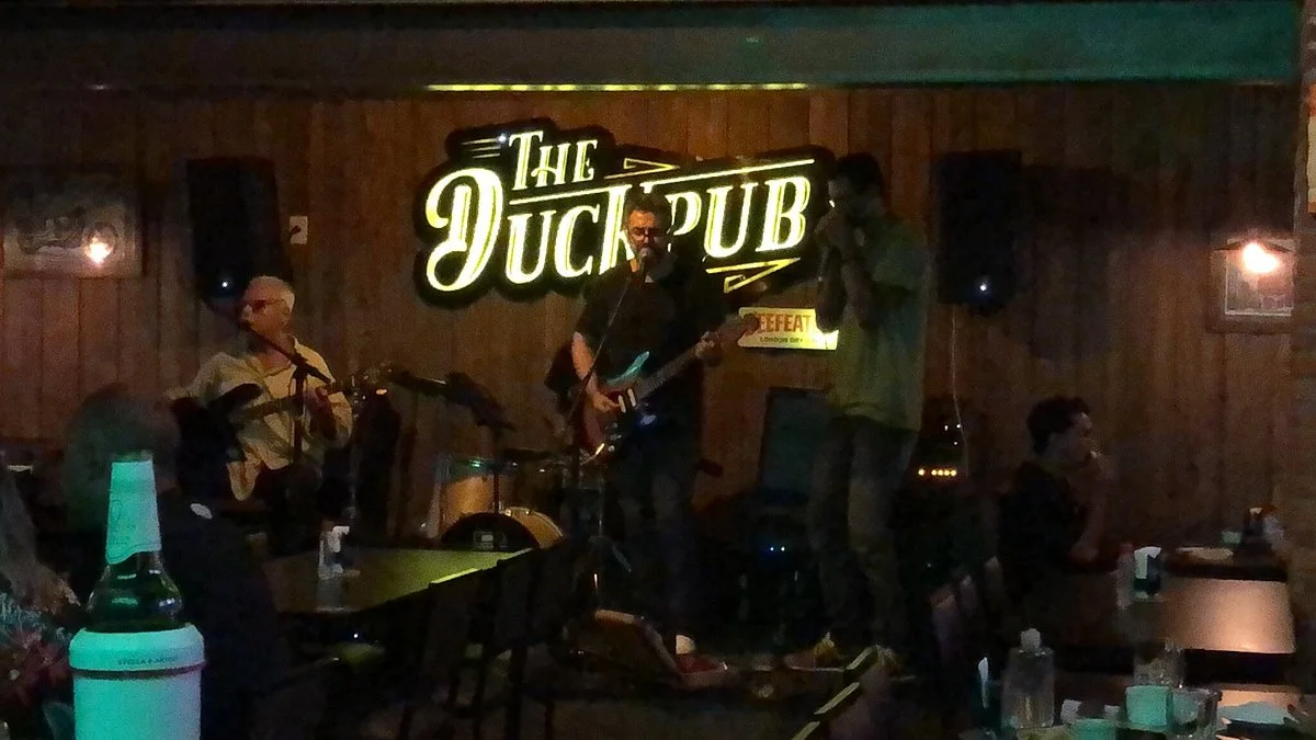 The Duck Pub