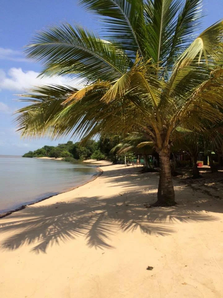 Ilha de Cotijuba