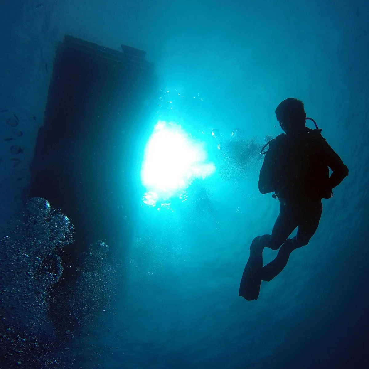 Ocean Explorers