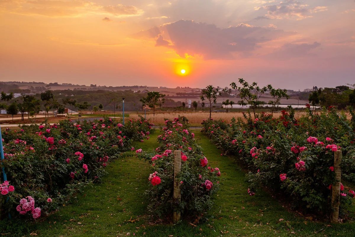 Bloemen Park