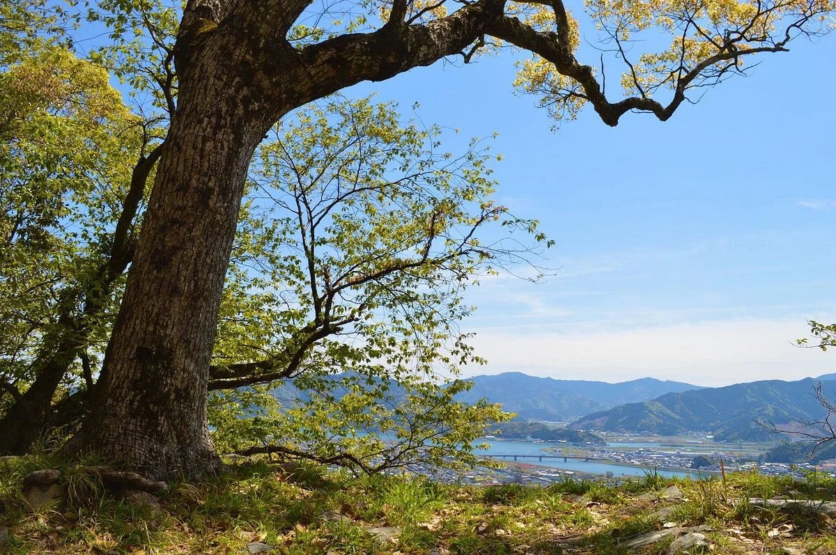 Mt. Shiroyama
