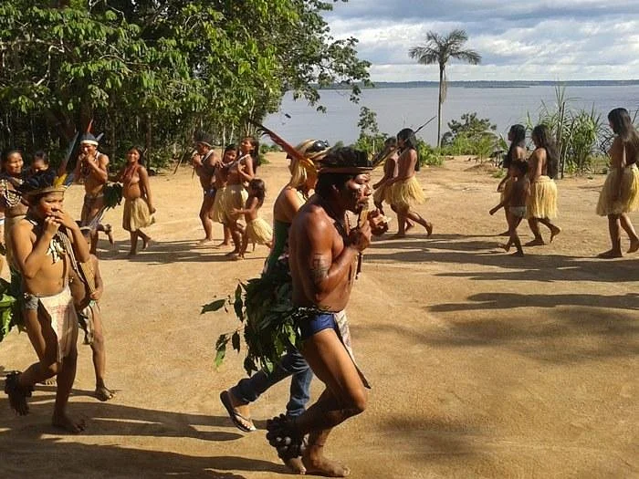 Amazon Forest Tours
