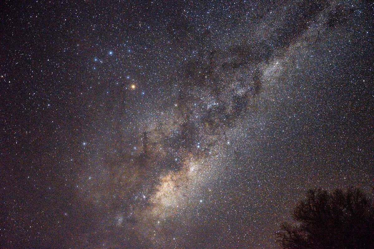 Llama Stargazing