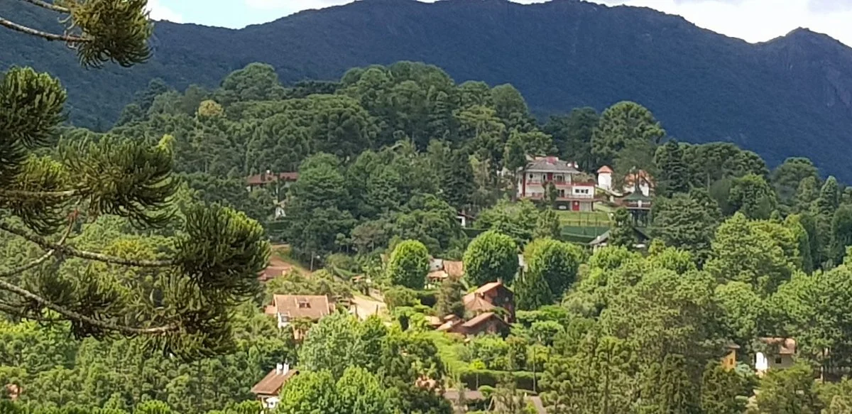 Trilha do Pinheiro Velho