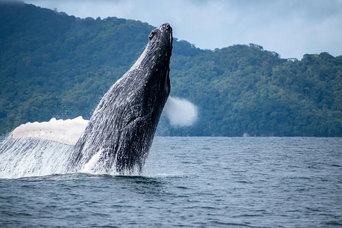 Madre Agua Ecoturismo