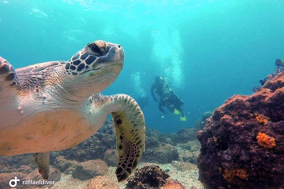 Scuba Búzios Mergulho