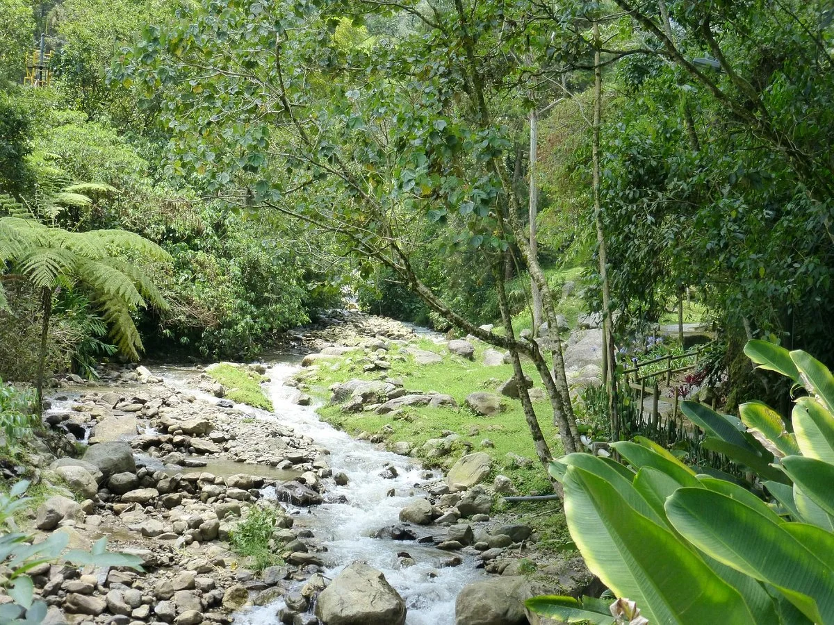 Parque El Salado