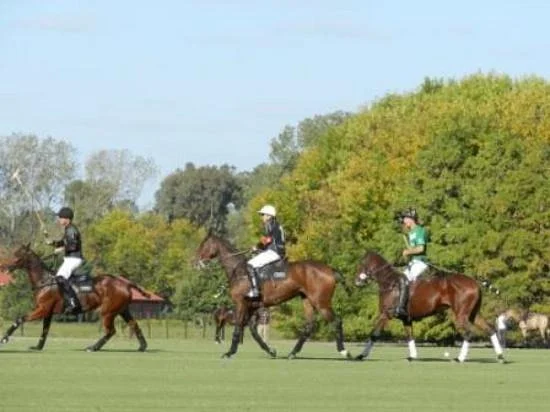 Polo Tour