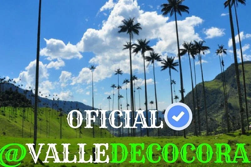Cocoratours Valle de cocora