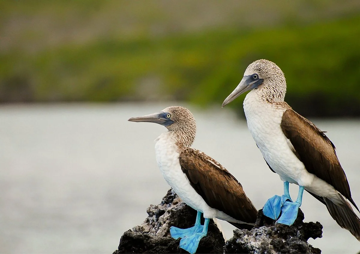 GalapagosBKtours