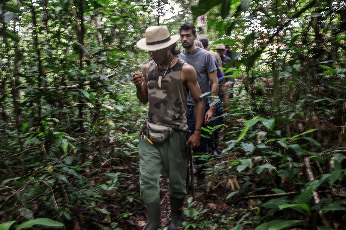 Amazon Authentic Jungle Tours Backpackers