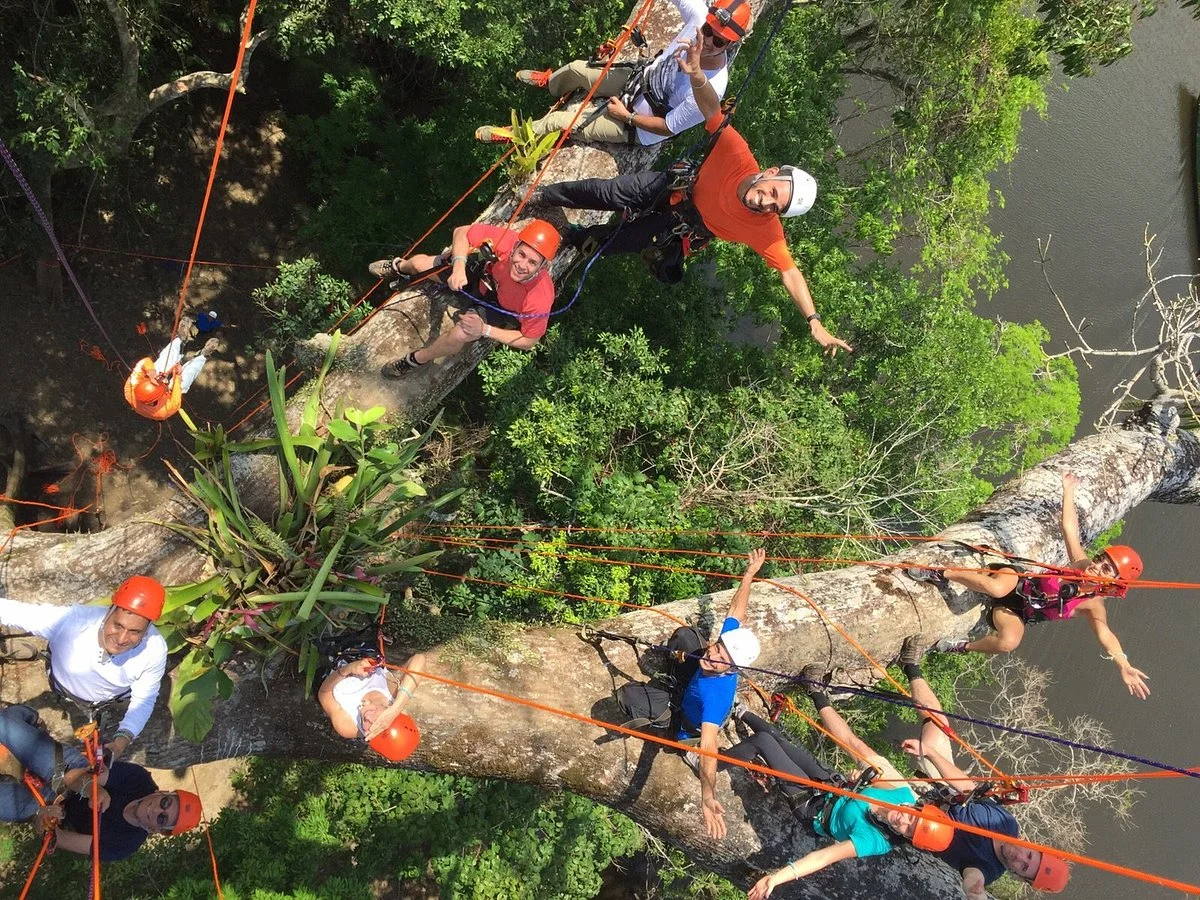Amazon Tree Climbing