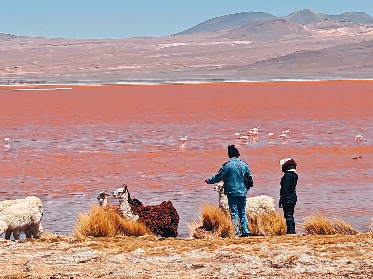 Voyage Atacama - Day Tour