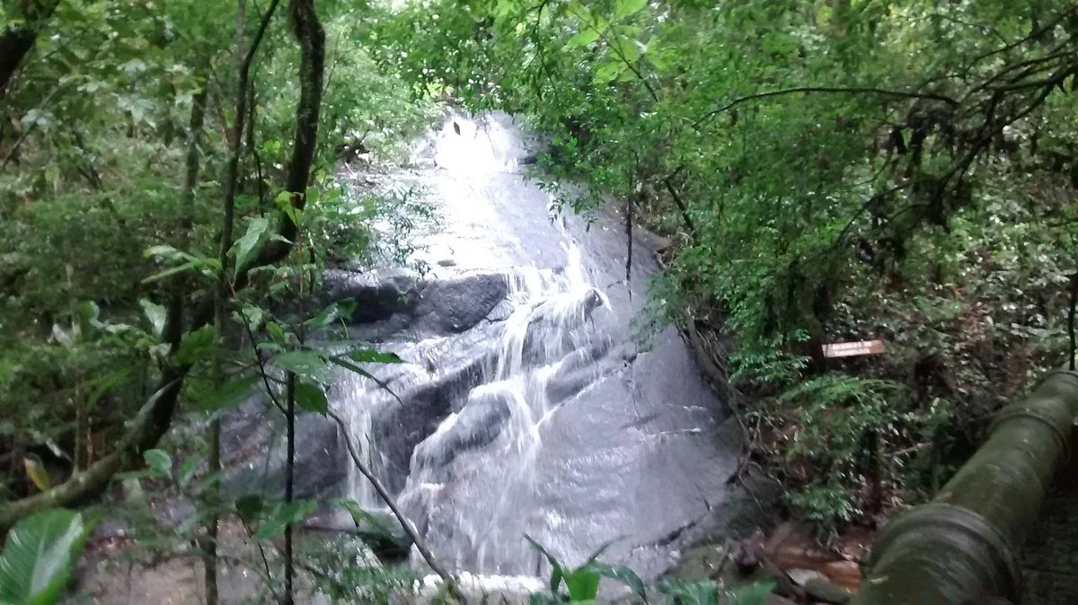 Parque Estadual Cantareira - Núcleo Engordador