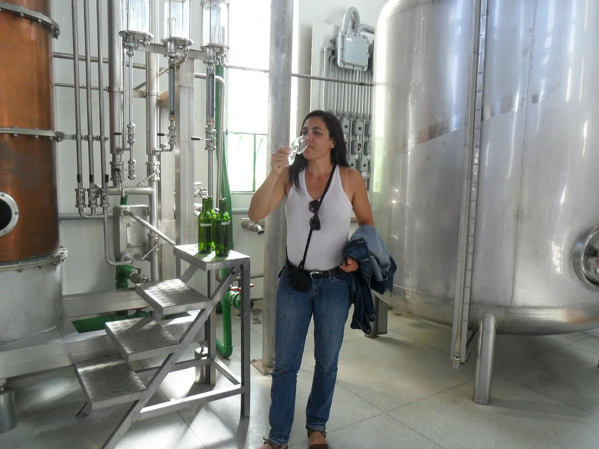 Vapor do Vinho