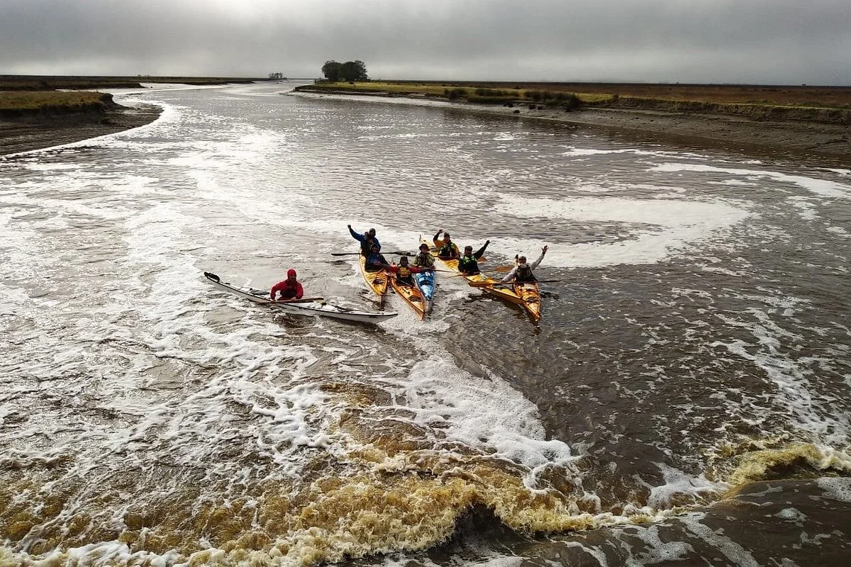 Limosa Kayak Expediciones