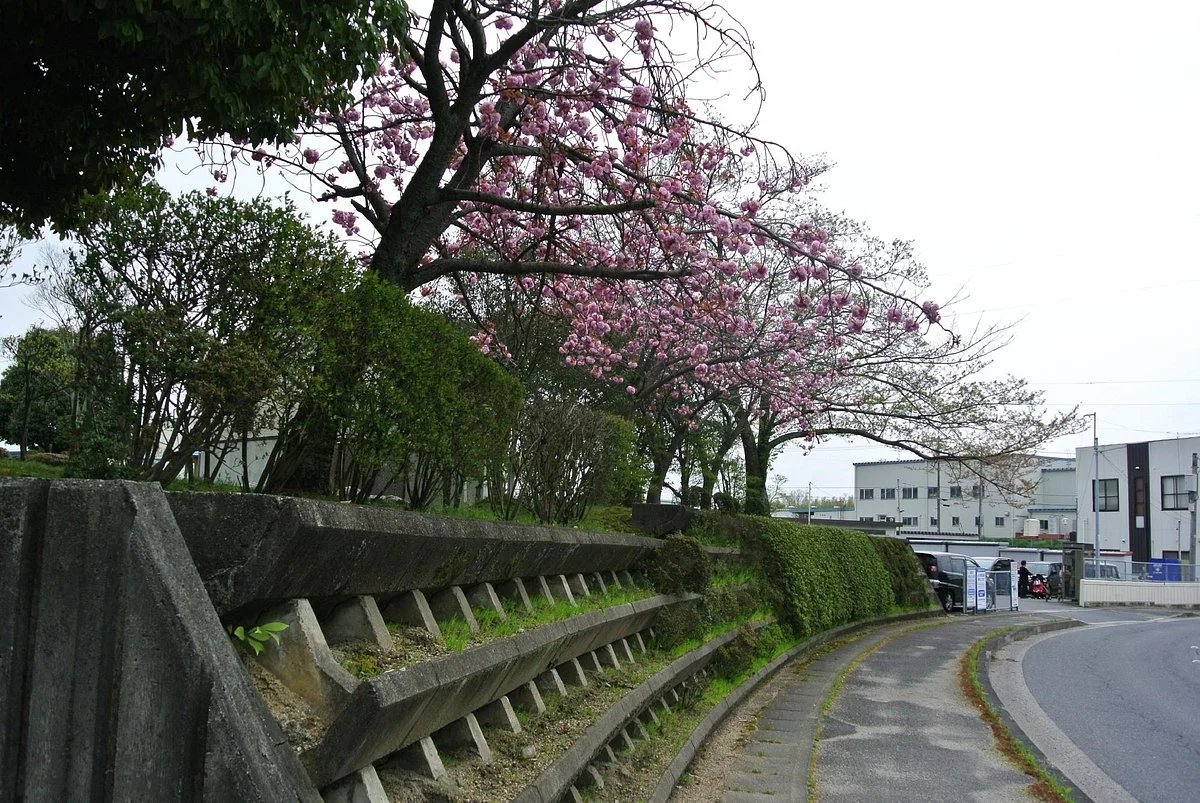 Shirasagi Park