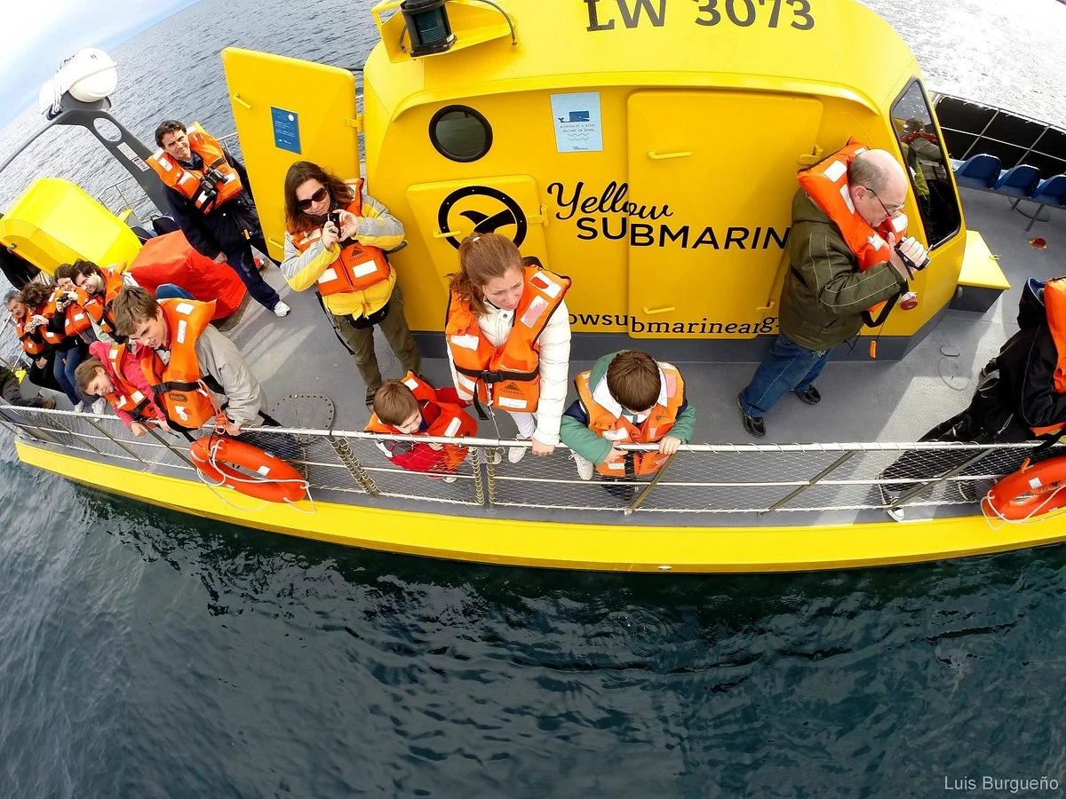 Southern Spirit Cruises (Whale watching)