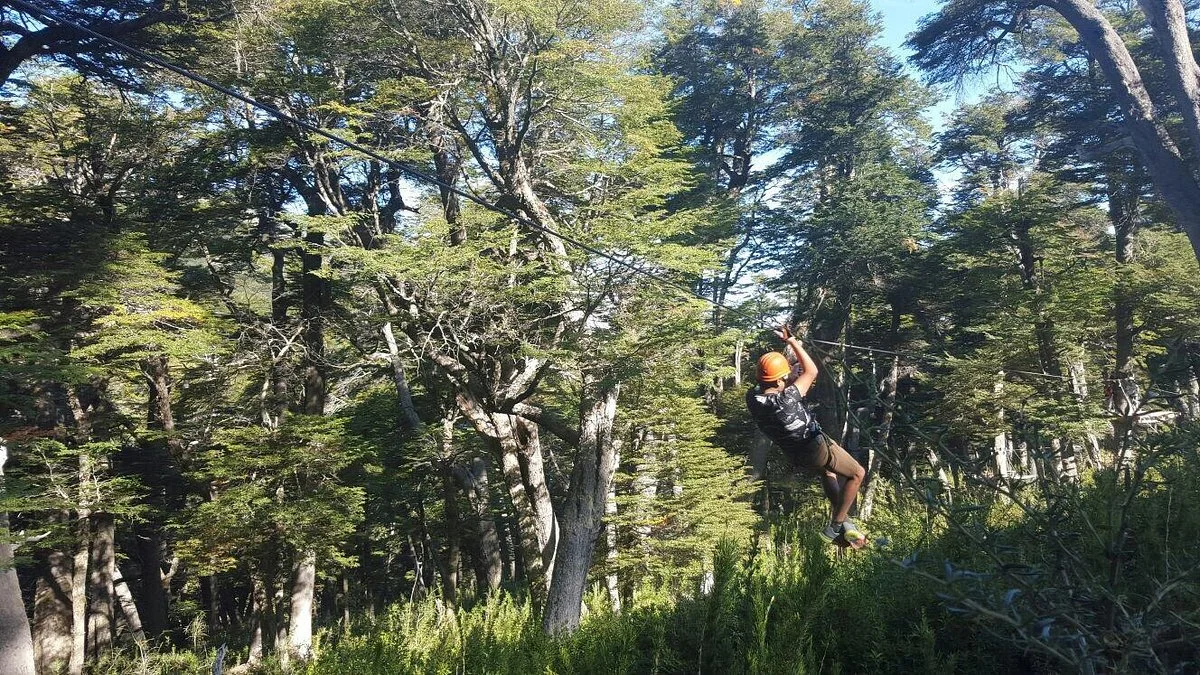 Canopy Cerro Bayo Rio Bonito