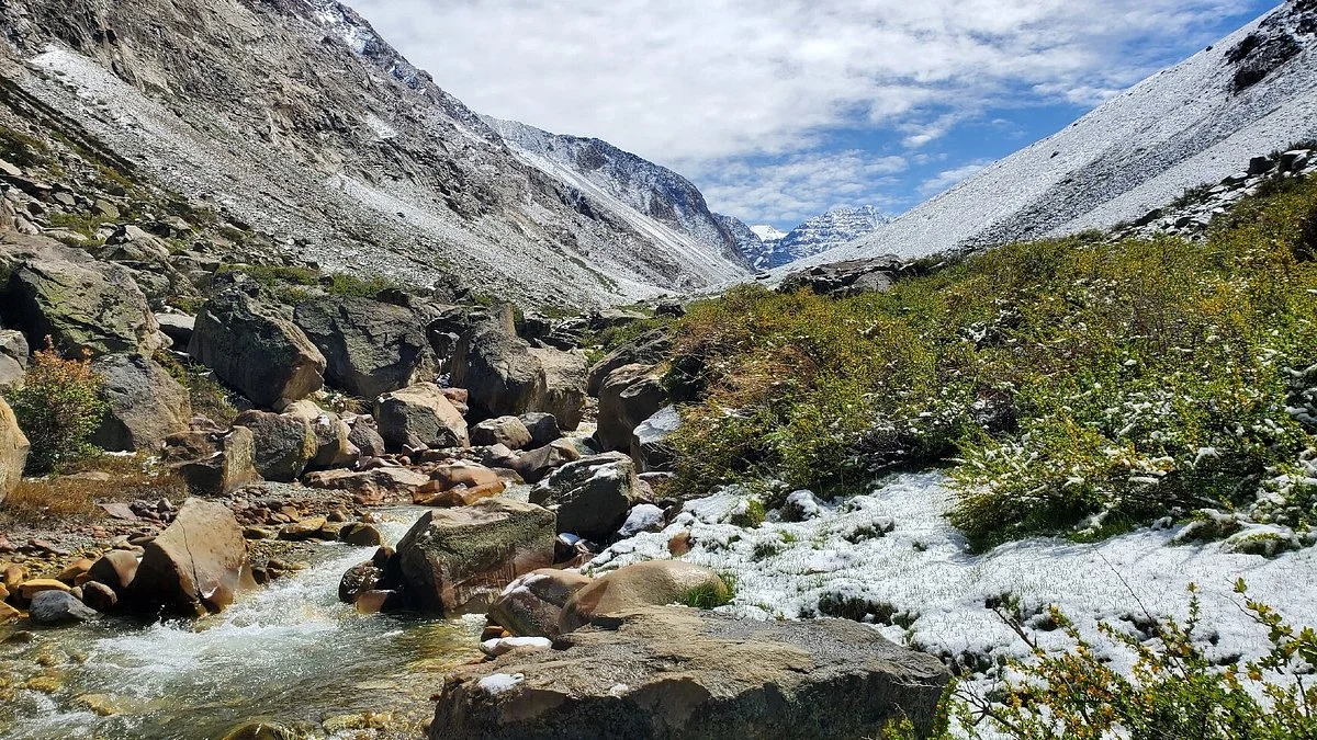 Parque Yerba Loca