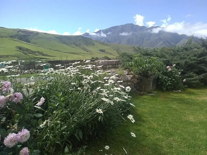 Estancia Las Carreras
