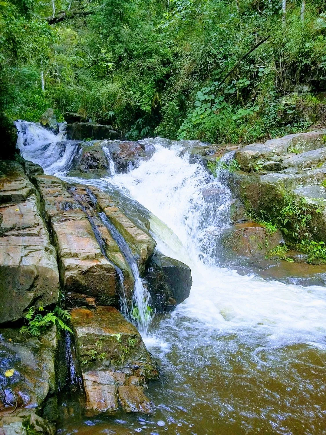 Cachoeira dos Amores