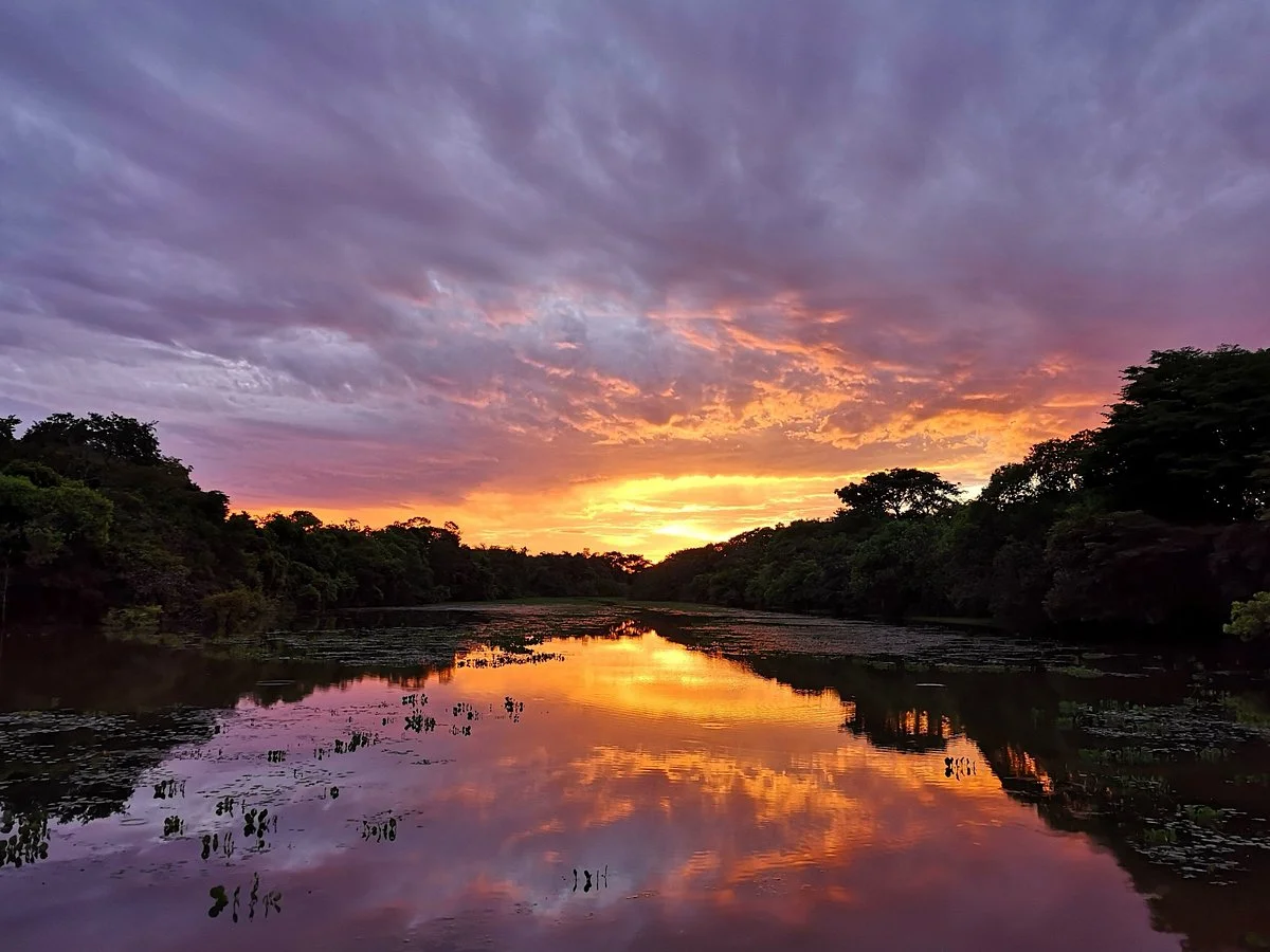 El Encanto de Guanapalo Reserva Natural