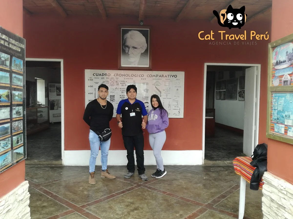 Cat Travel Peru