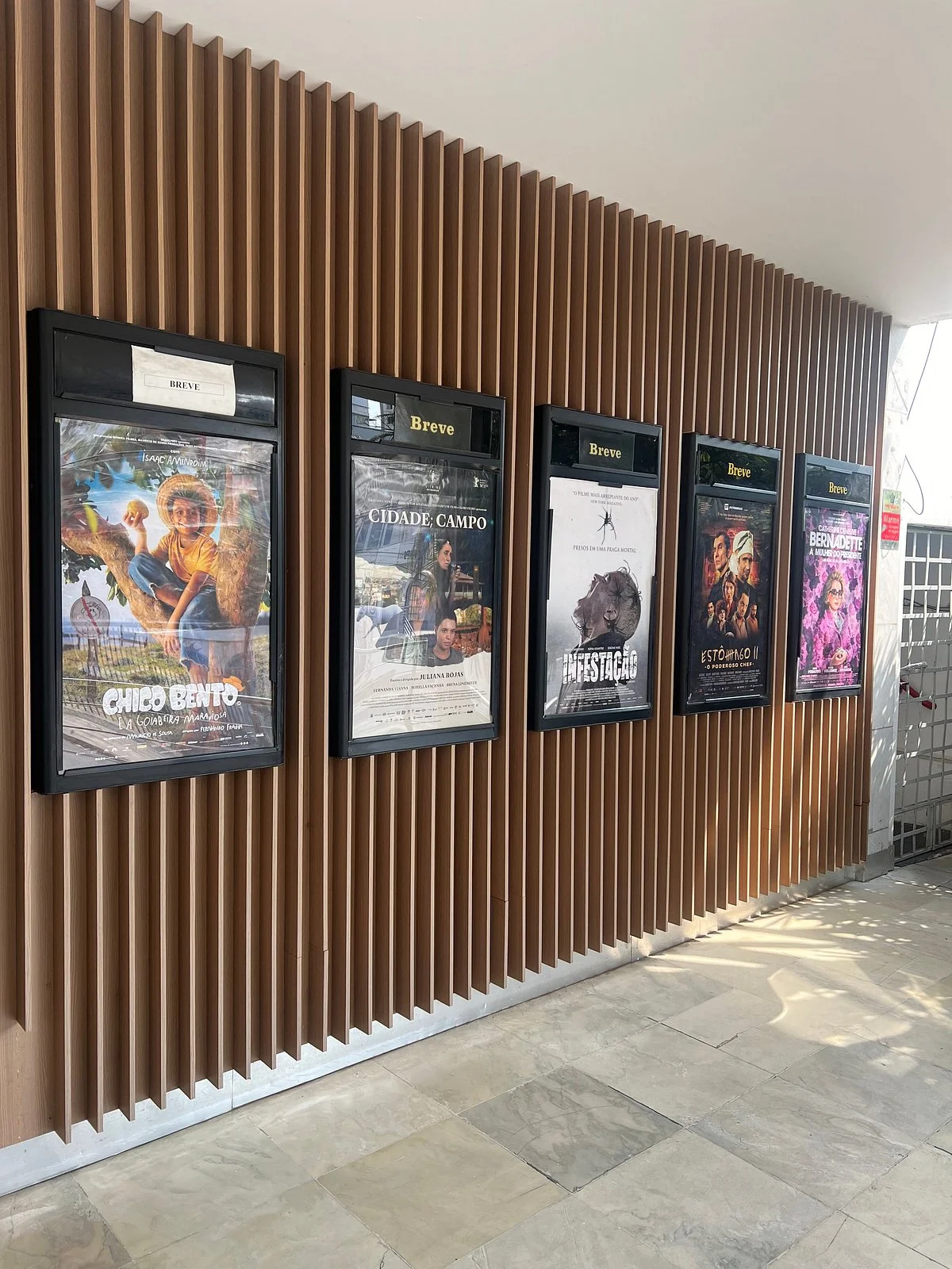 Cinema Belas Artes