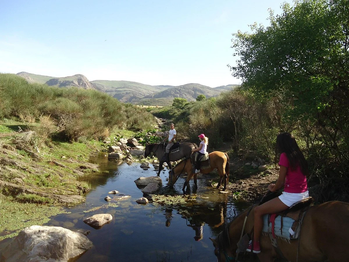 Campo Equino Cabalgatas