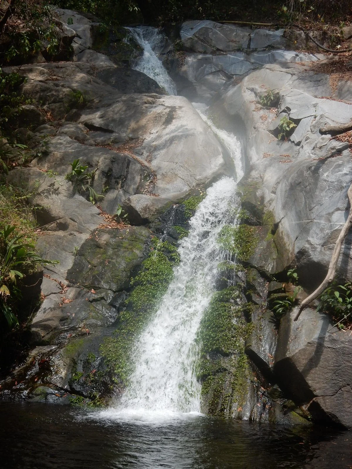 Minca Emerald Green Tours