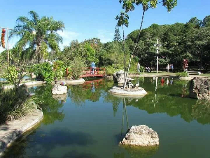 Lago Artificial Prof. J. K. Williams