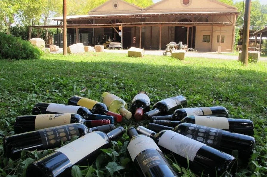Vinomio Wine Tours