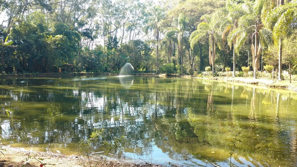 Parque do Piqueri
