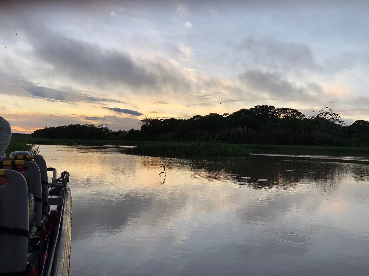 Delfin Amazon Cruises - Relais & Châteaux