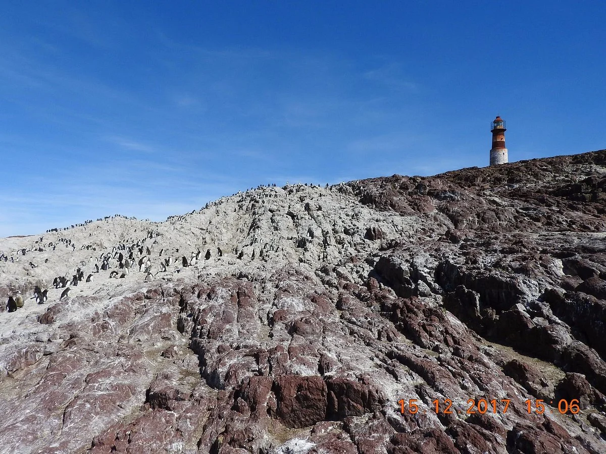 Puerto Penacho Excursiones
