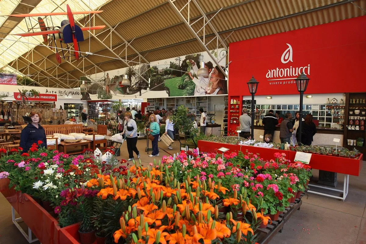 Antoniucci Vivero Productor