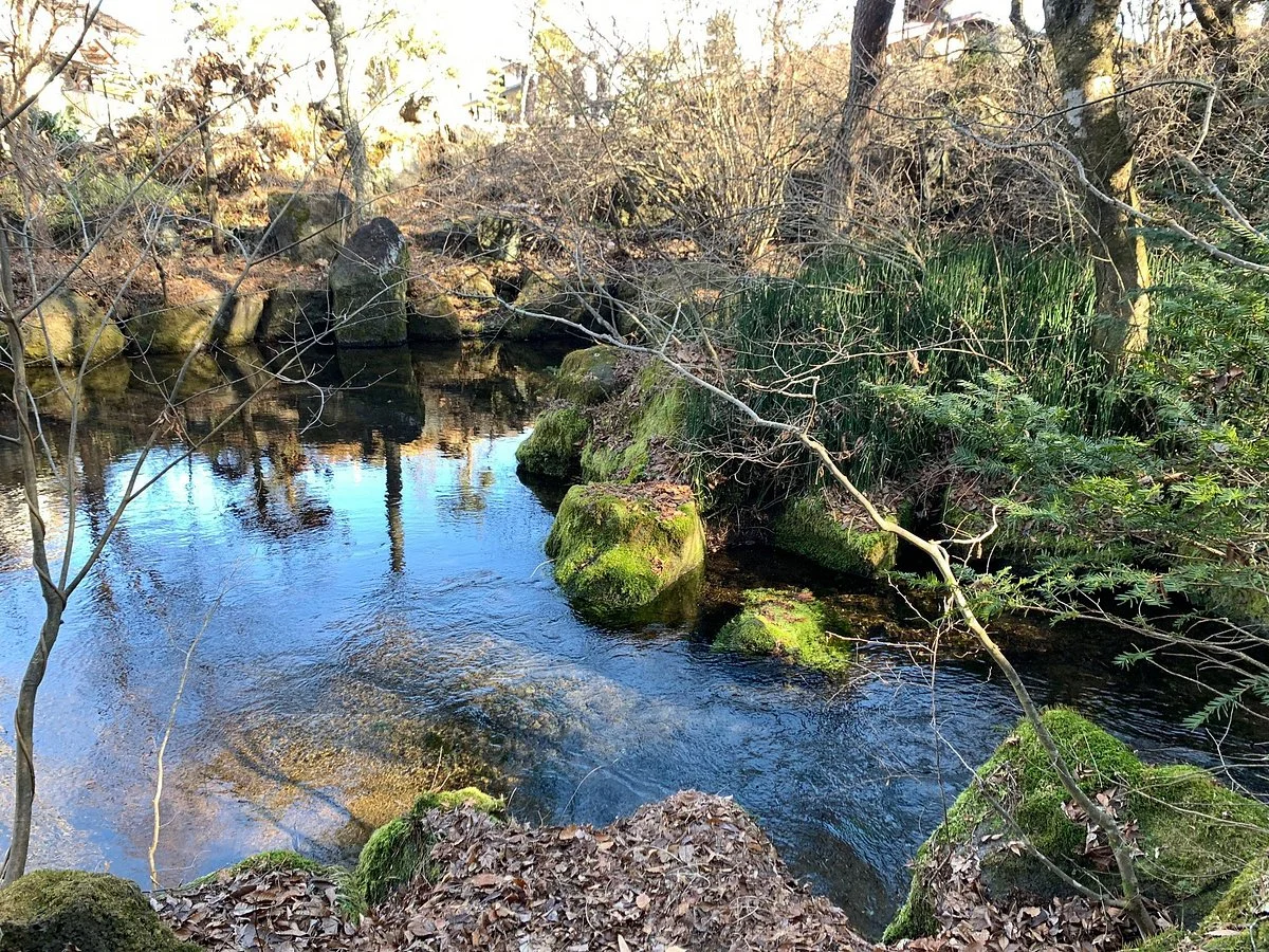 Deguchi Pond