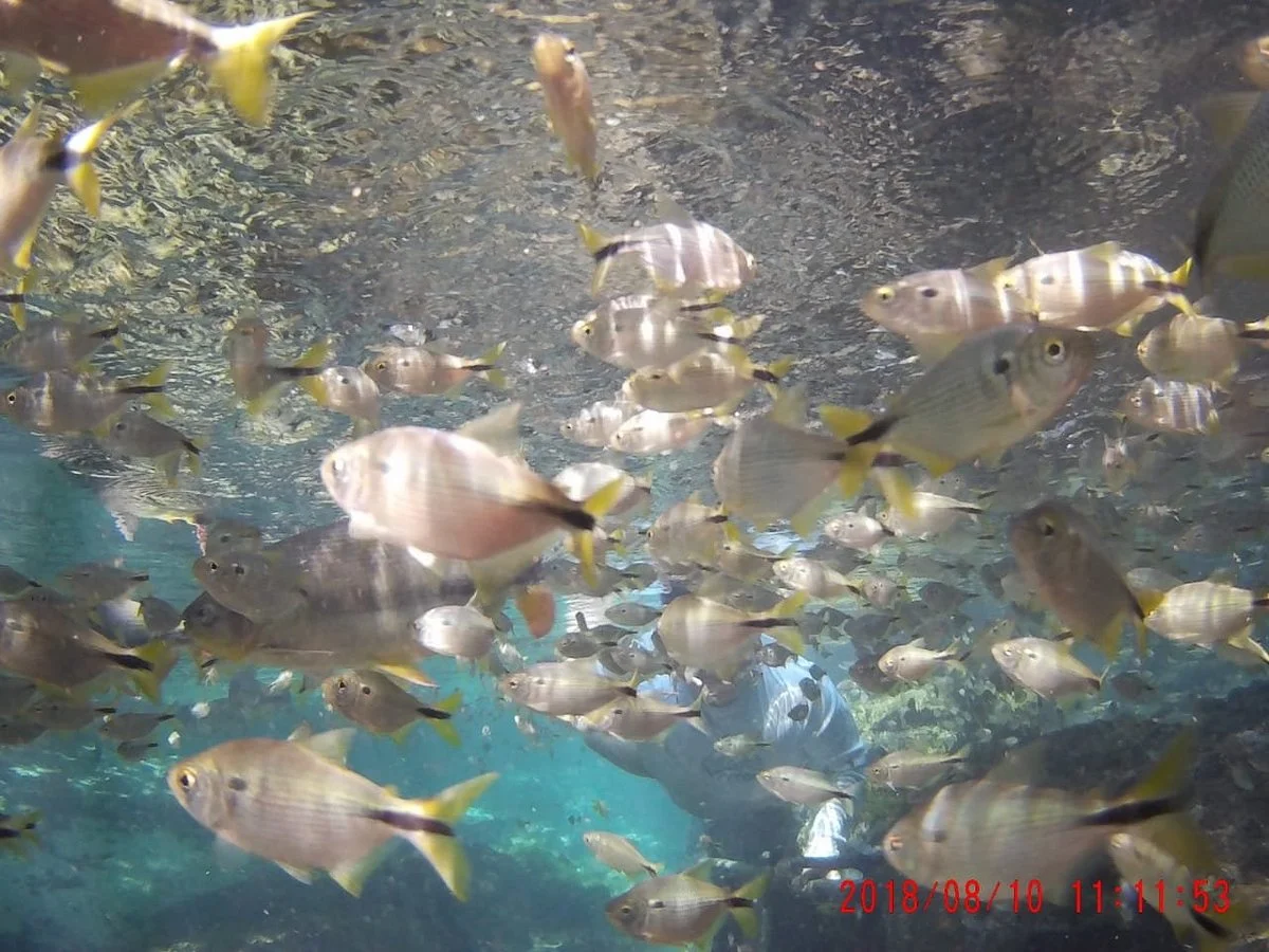 Flutuacao Vale das Aguas