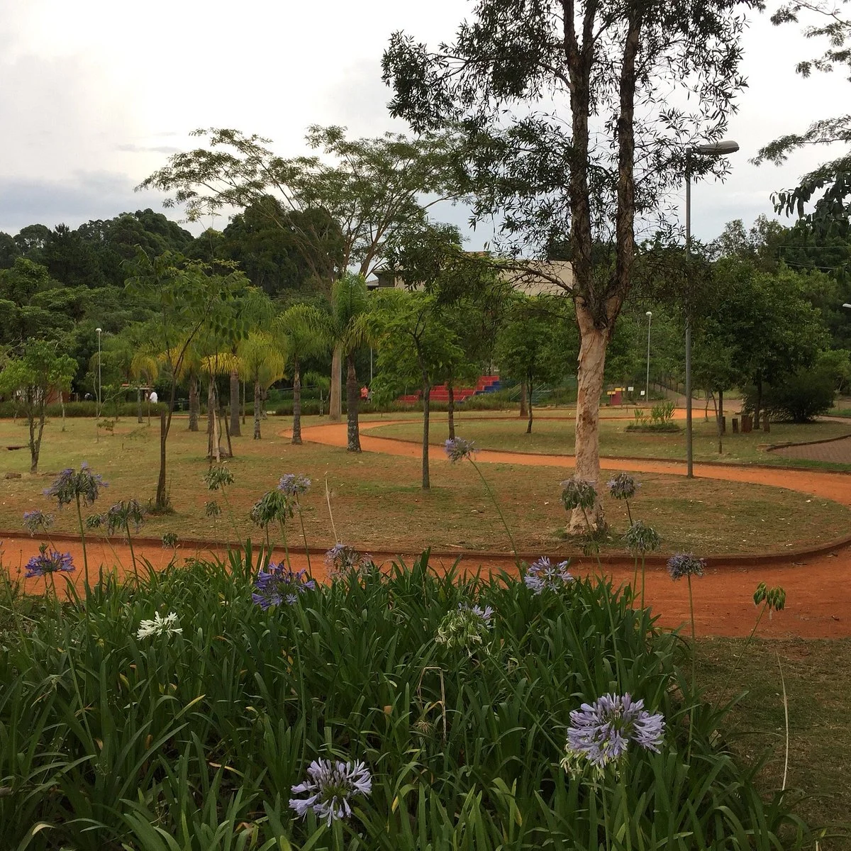 Parque do Cordeiro - Martin Luther King