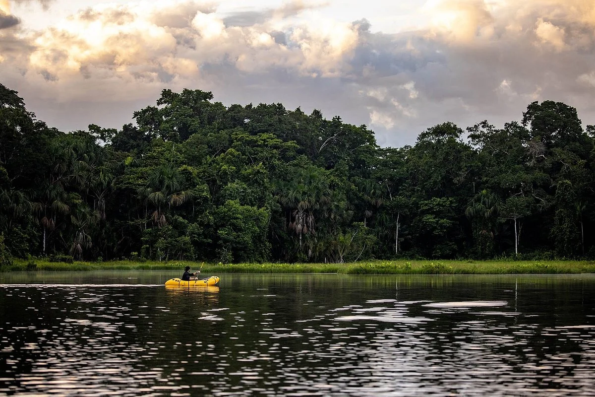 Tamandua Expeditions